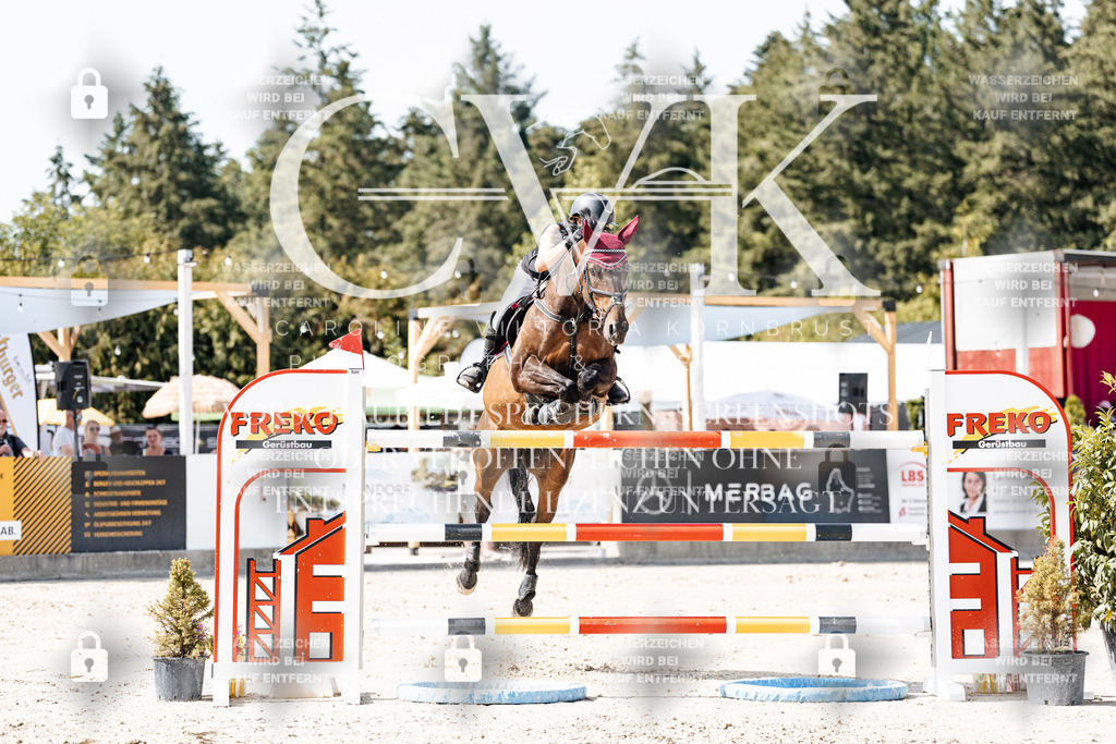 CK905315 | Turnierfotografie Pferdefotografie Trier Rheinland-Pfalz Pferdesport Reitsport Tierfotografie Sportfotografie Pferdevideo Pferdevideografie Equestrianvideography equestrianphotography  - Realisiert mit Pictrs.com