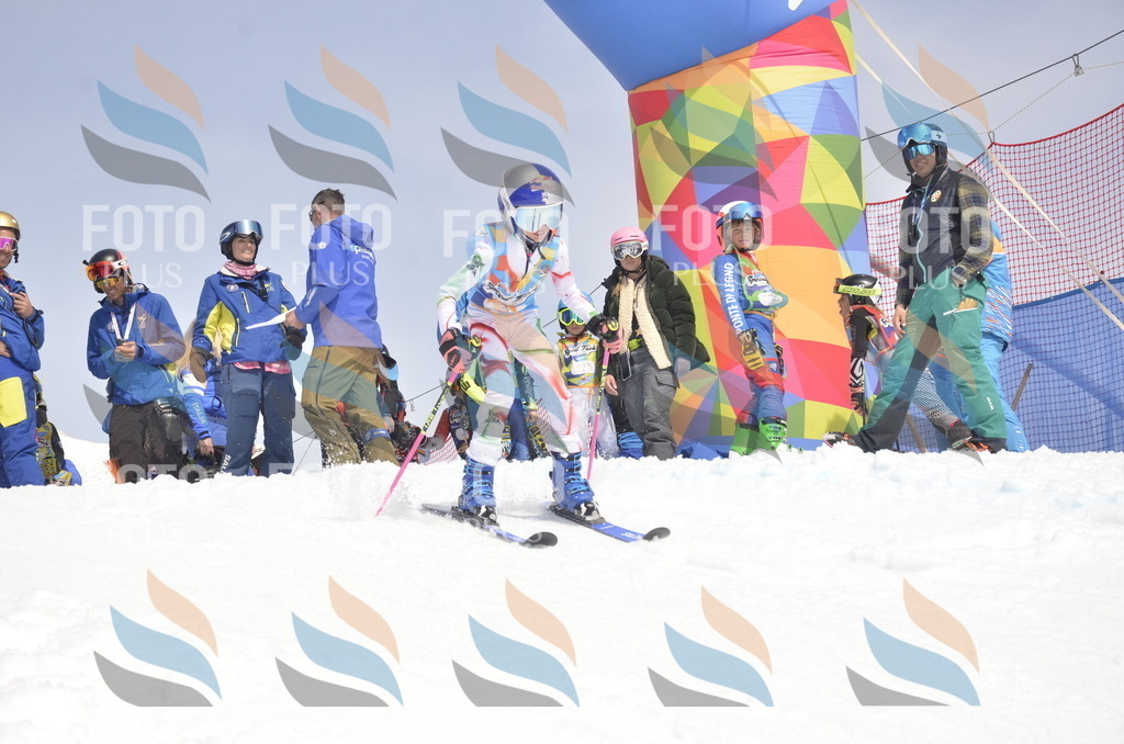 _ELE8650 | holidayphoto