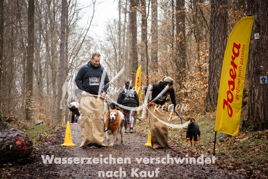 1151_ZZ92395 | kk-dogfotos