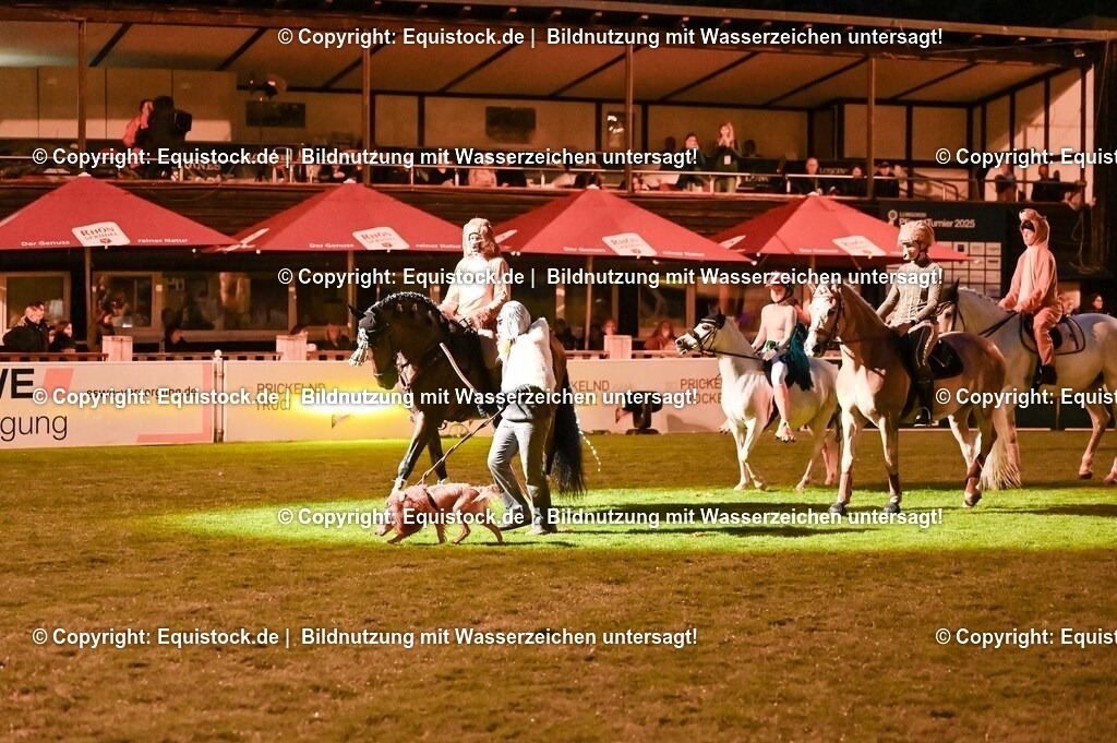 20250606_Lange-Pferdenacht_1268 | Foto: Thomas Hartig