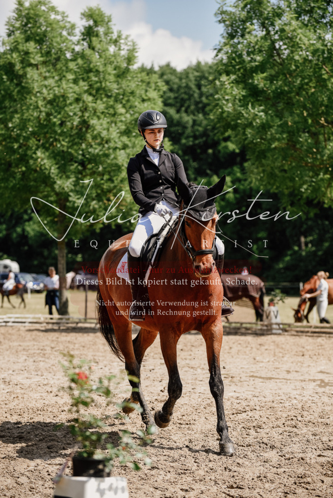 DSC_0998 | Pferde- und Turnierfotografie in Westsachsen. Pferdeportraits, Auftragszeichnungen und intuitive Kunst.