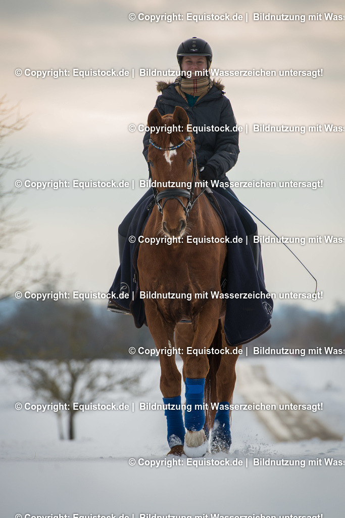 20160116_Reiterin_im_Schnee_0001 1 | equistock