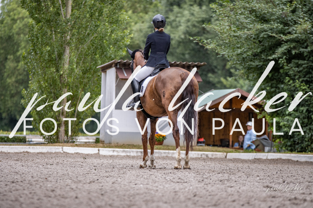 IMG_6462 | Erleben Sie dynamische Sport- und emotionale Tierfotografie in Süddeutschland mit Fotos von Paula. Spezialisiert auf Pferde- und Hundefotografie sowie Sportevents. Kontaktieren Sie mich für einzigartige und ausdrucksstarke Bilder Ihrer besonderen Momente.
