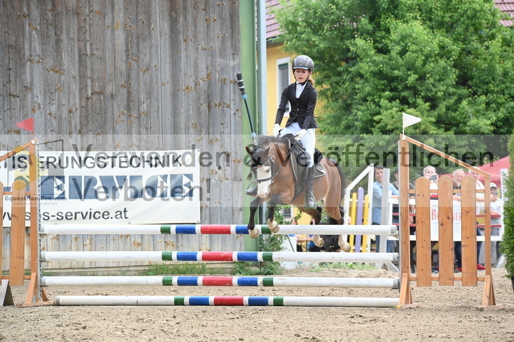 DSC_8154 | equestrian-live-com