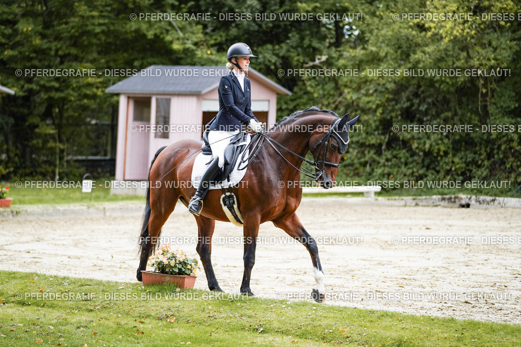 DSC09293 | Pferdegrafie