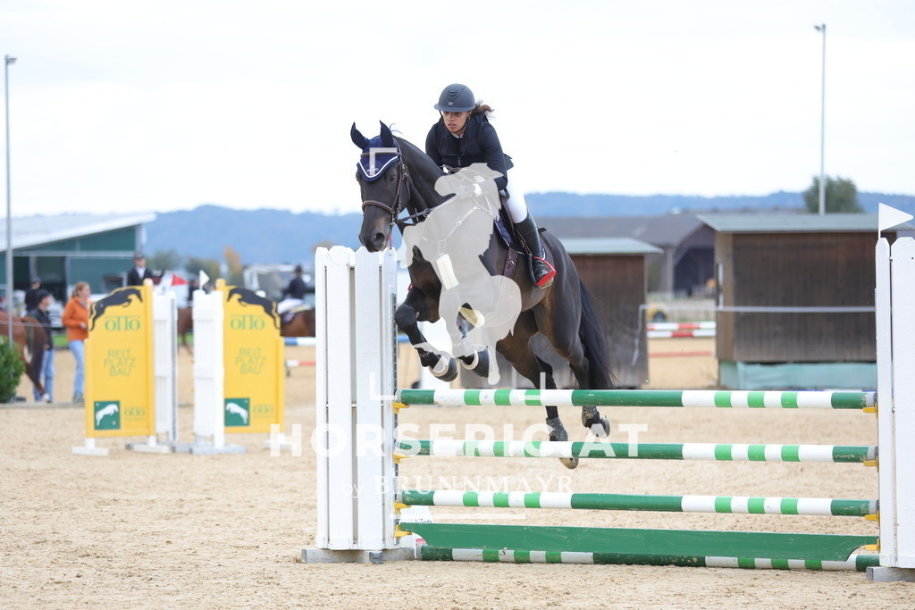 0P6A0135 | Willkommen bei Brunnmayr - Design & Fotografie – Ihrem Spezialisten für Reitturniere und Pferdeveranstaltungen in Oberösterreich, Salzburg und Bayern! Seit über 17 Jahren sind wir leidenschaftlich dabei.
