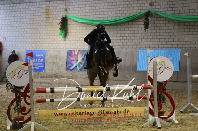 IMG_0762 | Deine Turnierfotos vom Reitturnier online kaufen: Dressur, Springen & Siegerehrung. Professionelle Pferdefotografie aus dem Rheinland – als Download & Print.Alternative: Turnierfotograf für den Pferdesport: Finde deine Fotos von Dressur- und Springturnier