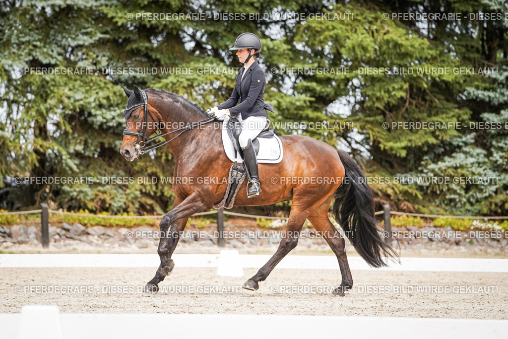 DSC05829 | Pferdegrafie