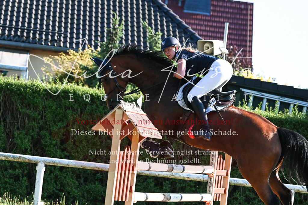 DSC_2924 | Pferde- und Turnierfotografie in Westsachsen. Pferdeportraits, Auftragszeichnungen und intuitive Kunst.