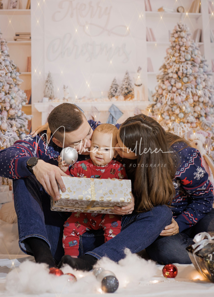 Weihnachts Minis  | Emotionale Mensch und Tier Fotografin. Aus Gösing am Wagram, zwischen Tulln und Krems an der Donau. 