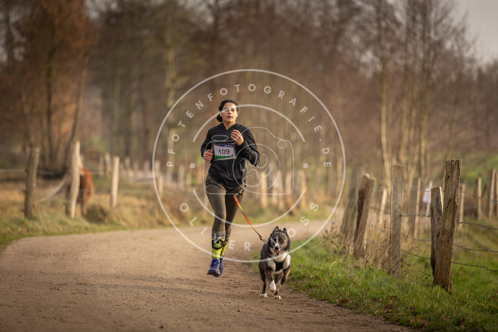 Pfotenfotografie_DV3A4950 | Hundefotografie, Tierfotograf, Pfotenfotografie, Fotoshooting Hund, Hunde Portrait, Hundesport, Hundeportraits, Heideshooting, Hunde, Sportfotograf, Hundefotograf, Turnierhundsport, THS,  - Realisiert mit Pictrs.com