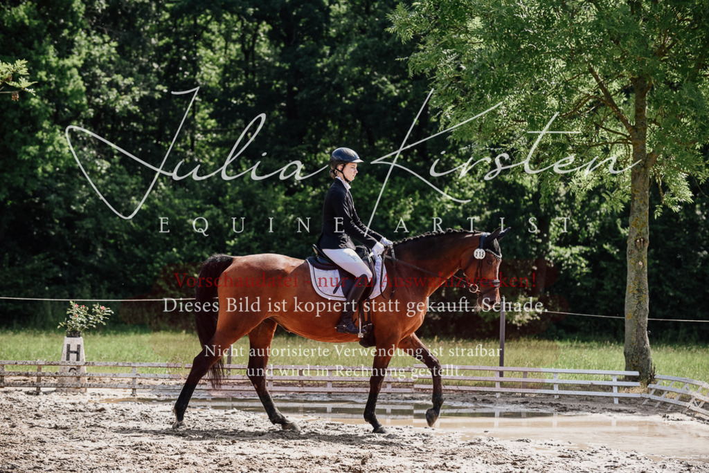 DSC_0458 | Pferde- und Turnierfotografie in Westsachsen. Pferdeportraits, Auftragszeichnungen und intuitive Kunst.