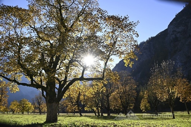 Ahornboden 2025-06 | Landschaftsfotografie Berge Mountain Landscape FotografieNatur Bilder Buidl Bergbuidl Bayern Heimat BergfotografieSonnenaufgang Sonnenuntergang Hobbyfotograf Bilderverkauf Leinwand - Realisiert mit Pictrs.com