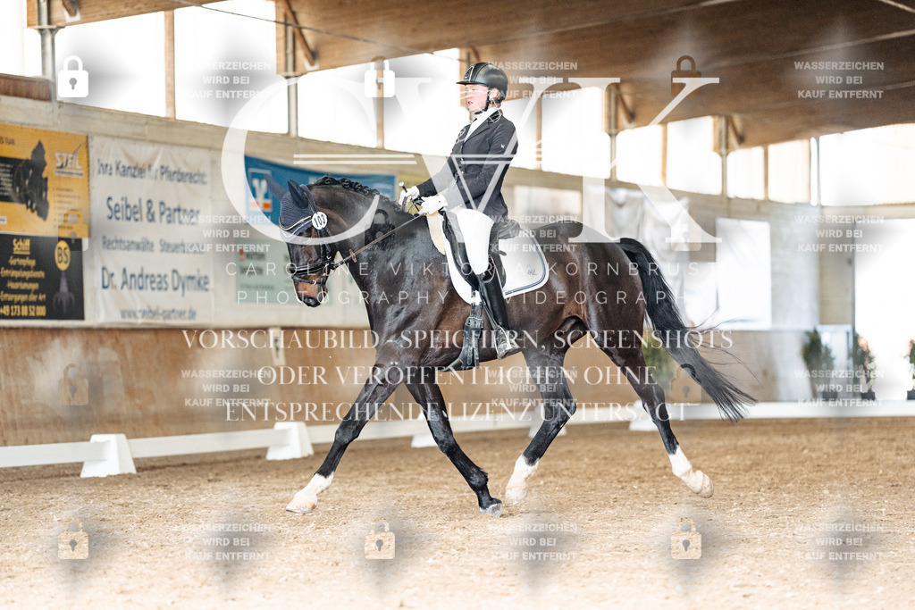 CK901849 | Turnierfotografie Pferdefotografie Trier Rheinland-Pfalz Pferdesport Reitsport Tierfotografie Sportfotografie Pferdevideo Pferdevideografie Equestrianvideography equestrianphotography  - Realisiert mit Pictrs.com
