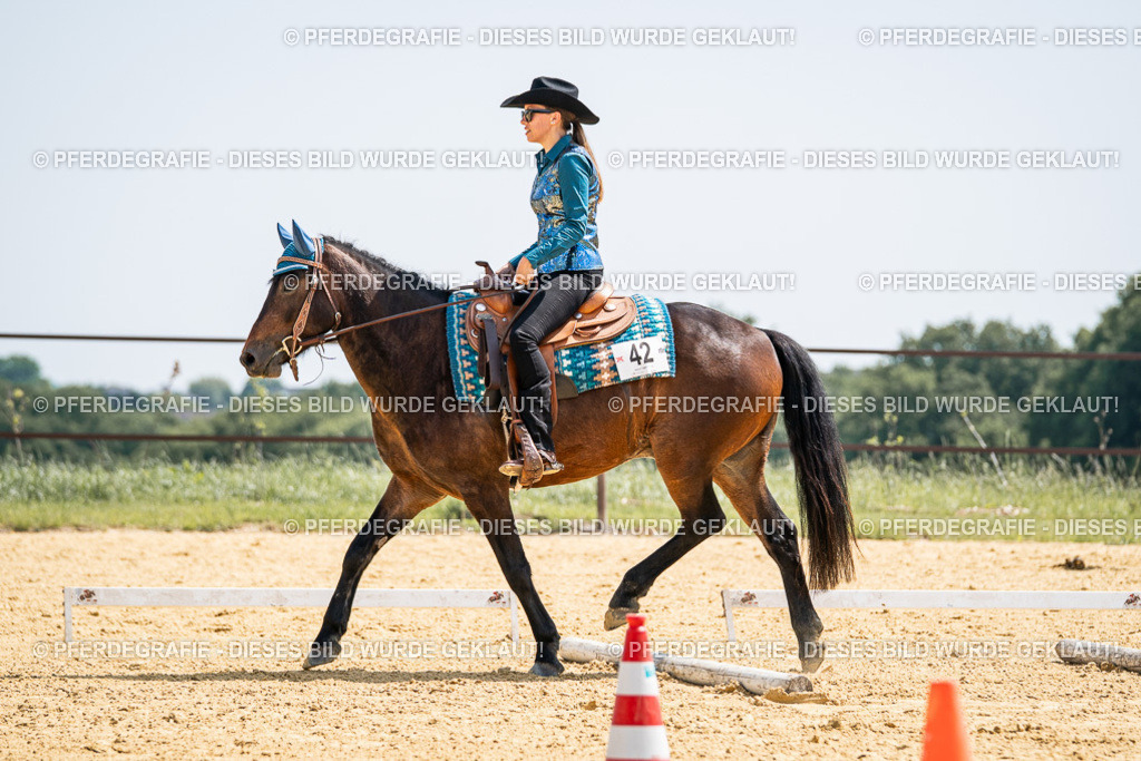 DSC00698 | Pferdegrafie