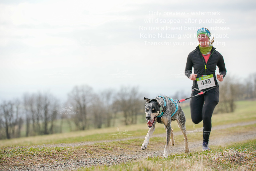 CaniXRunSA-220 | stephaniefillaphotographie - Realisiert mit Pictrs.com