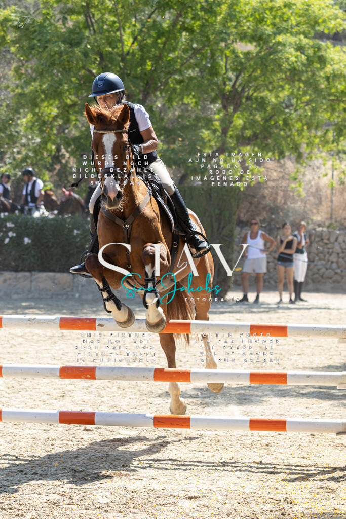 IMG_5606 | s-jay-photography - Realisiert mit Pictrs.com