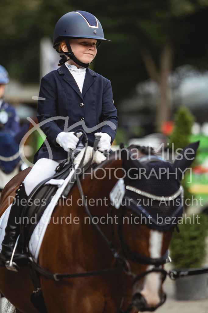 240915_OWLCh_FuehrzuegelWB-680 | Deine schönsten Turniermomente als professionelle Fotos! Entdecke hochwertige Pferdesport-Fotografie im Online-Shop. Jetzt Fotos finden & bestellen!