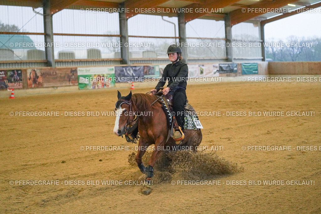 DSC09546 | Pferdegrafie