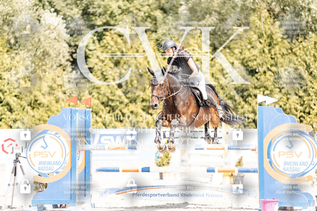 CK901036 | Turnierfotografie Pferdefotografie Trier Rheinland-Pfalz Pferdesport Reitsport Tierfotografie Sportfotografie Pferdevideo Pferdevideografie Equestrianvideography equestrianphotography  - Realisiert mit Pictrs.com