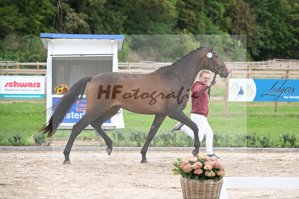 Kat-Nr. 15 Blossom S_ZG Sautter_49221190 | hf-fotografie - Realizzato con Pictrs.com