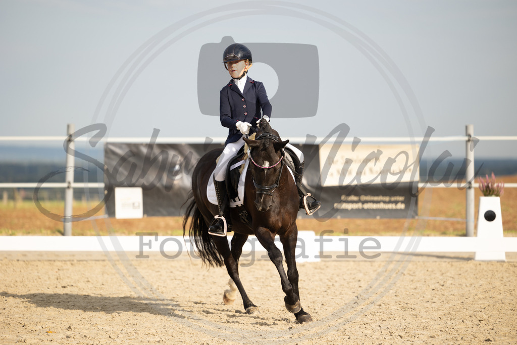 994A1017 | sabrinanicolaifotografie - Realisiert mit Pictrs.com