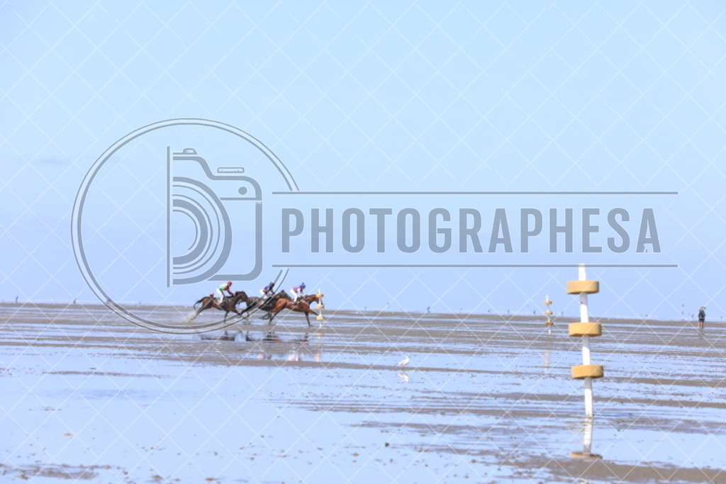 IMG_8883 | photographesa-joergens - Realisiert mit Pictrs.com
