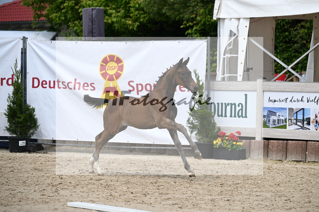 St. Emilion x Zoom_SF_Braig u Meyer_12250625 | hf-fotografie - Realisiert mit Pictrs.com