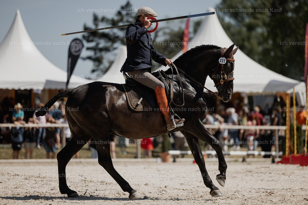 WE_SP_Stoib_320_PI2025_1726 | Pferd International München 2025