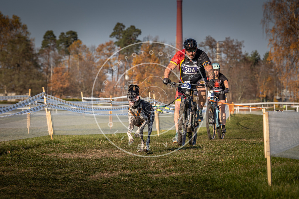 CaniXpix_0L8A8106 | Hundefotografie, Tierfotograf, Pfotenfotografie, Fotoshooting Hund, Hunde Portrait, Hundesport, Hundeportraits, Heideshooting, Hunde, Sportfotograf, Hundefotograf, Turnierhundsport, THS,  - Realisiert mit Pictrs.com