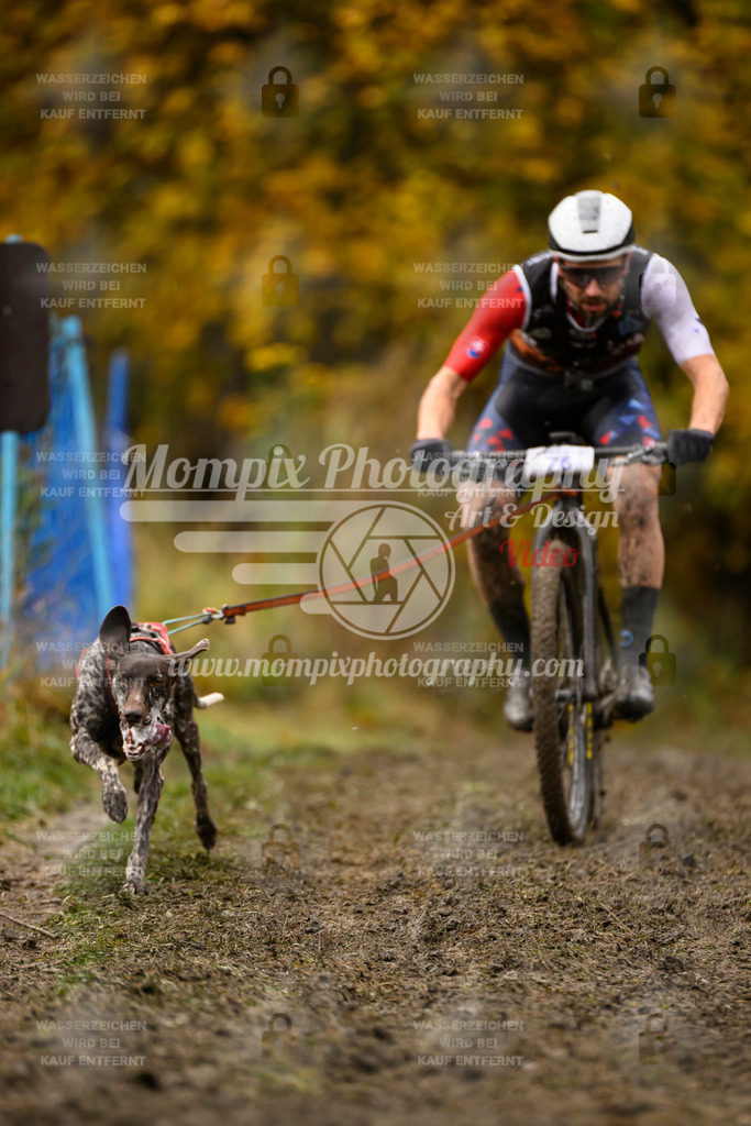 MompixPhotography_ICF_WC_2024_SA_Bike_-5 | PayLife