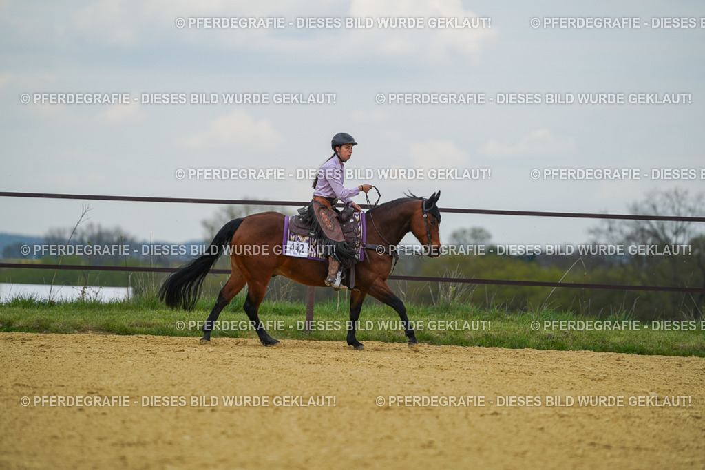 DSC06990 | Pferdegrafie