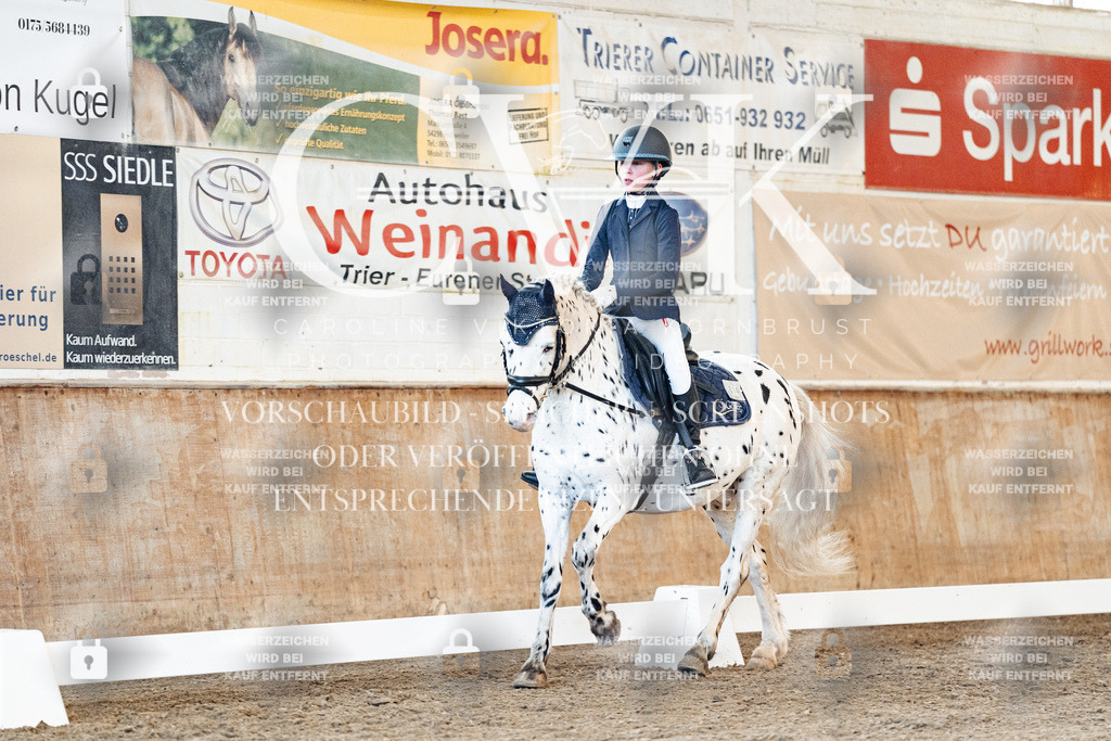 CK906881 | Turnierfotografie Pferdefotografie Trier Rheinland-Pfalz Pferdesport Reitsport Tierfotografie Sportfotografie Pferdevideo Pferdevideografie Equestrianvideography equestrianphotography  - Realisiert mit Pictrs.com