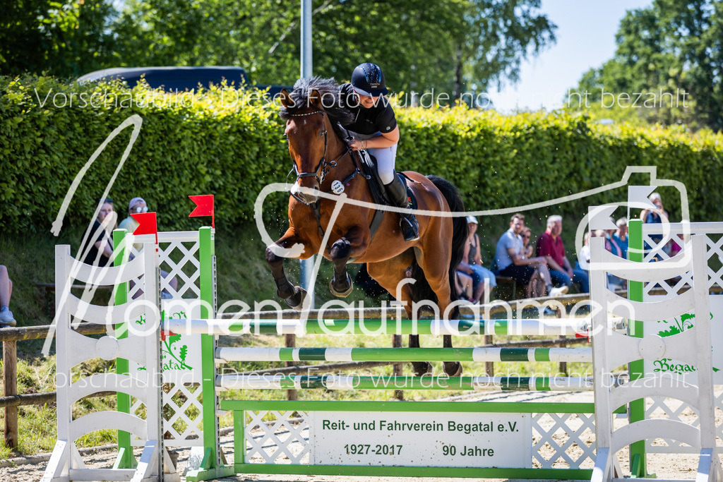 Donop24-L-Spr-041 | MomenTaufnahmen Pferdesportfotos