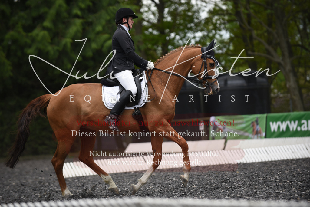 20230513_JK-Röhrsdorf-15-171 | Pferde- und Turnierfotografie in Westsachsen. Pferdeportraits, Auftragszeichnungen und intuitive Kunst.