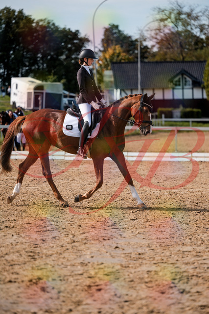 2026_10_03_Siefer-Hof_132840_Z63_89551286 | Professionelle Reitsport-, Turnier- und Eventfotografie von Robert Broda. Galerien mit ausgewählten und bearbeiteten Bildern direkt online ansehen und bestellen.