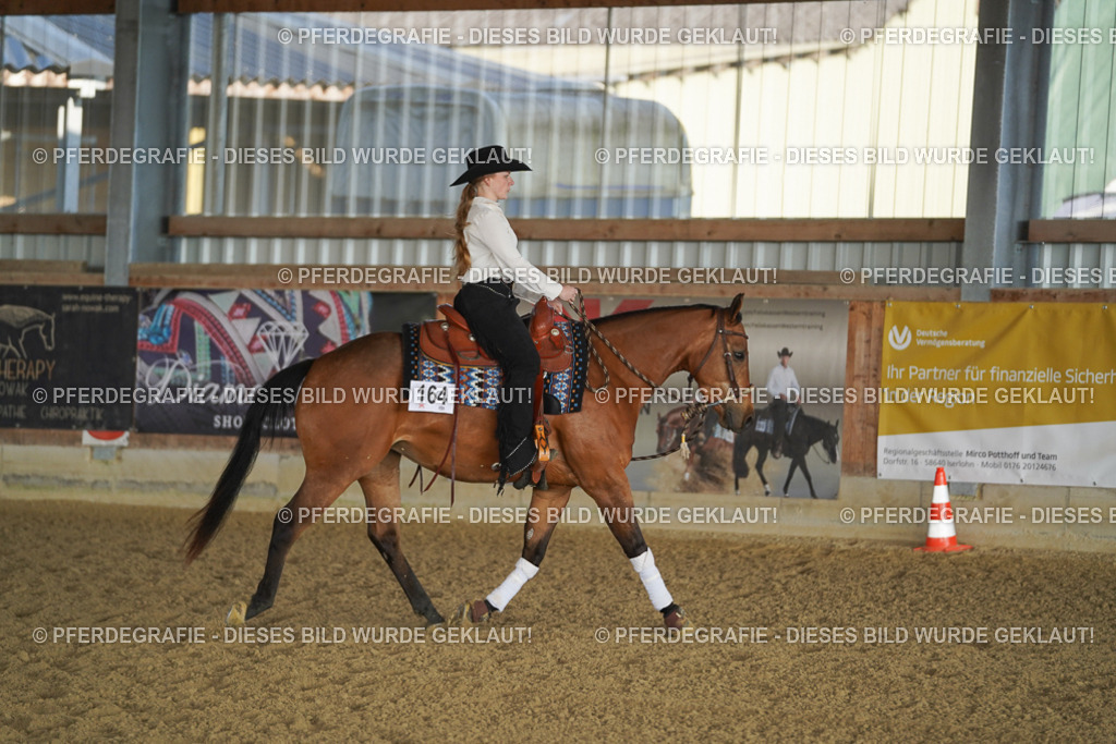 DSC08624 | Pferdegrafie