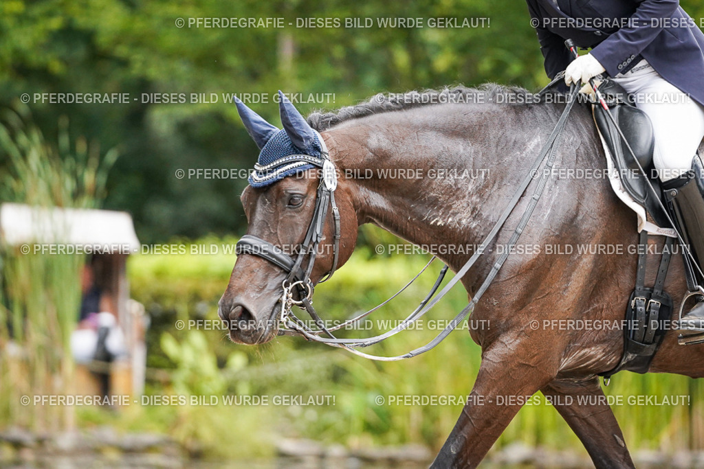 DSC07735 | Pferdegrafie