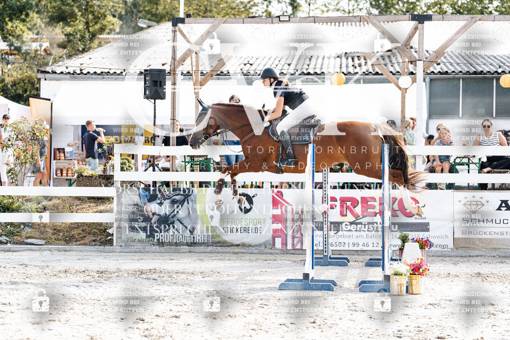 CK905715 | Turnierfotografie Pferdefotografie Trier Rheinland-Pfalz Pferdesport Reitsport Tierfotografie Sportfotografie Pferdevideo Pferdevideografie Equestrianvideography equestrianphotography  - Realisiert mit Pictrs.com