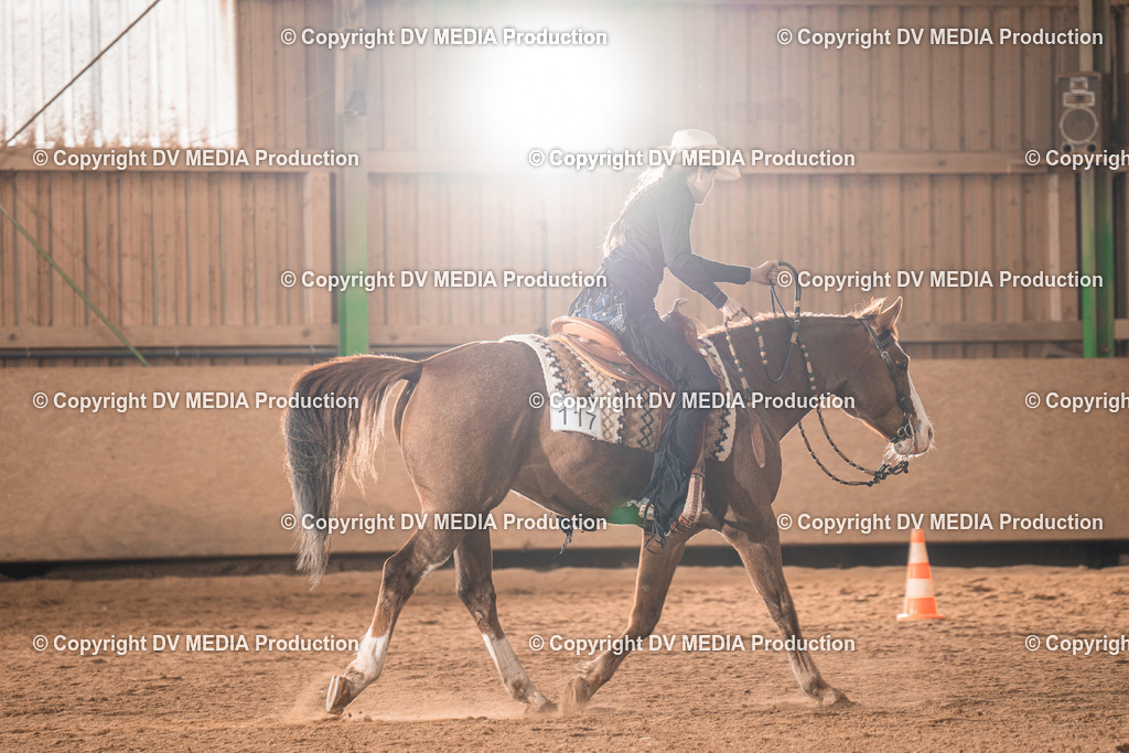 BAL00611 | dv-media-shop - Realisiert mit Pictrs.com