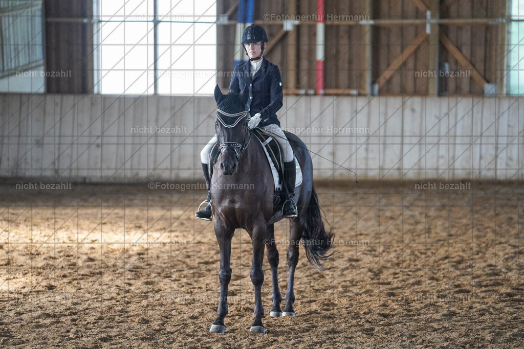 20230917-FAH09943 | Landsberg am Lech, 2023, Kaufbeuren, Kempten, Allgäu, Turnierfotografen Bayern, Fotoagentur Herrmann, Turnierbilder, Reitsport Fotos, Pferdefotograf, Augsburg, Bad Tölz, Dachau, Karlsfeld, Memmingen, Buchloe, Schwabmünchen