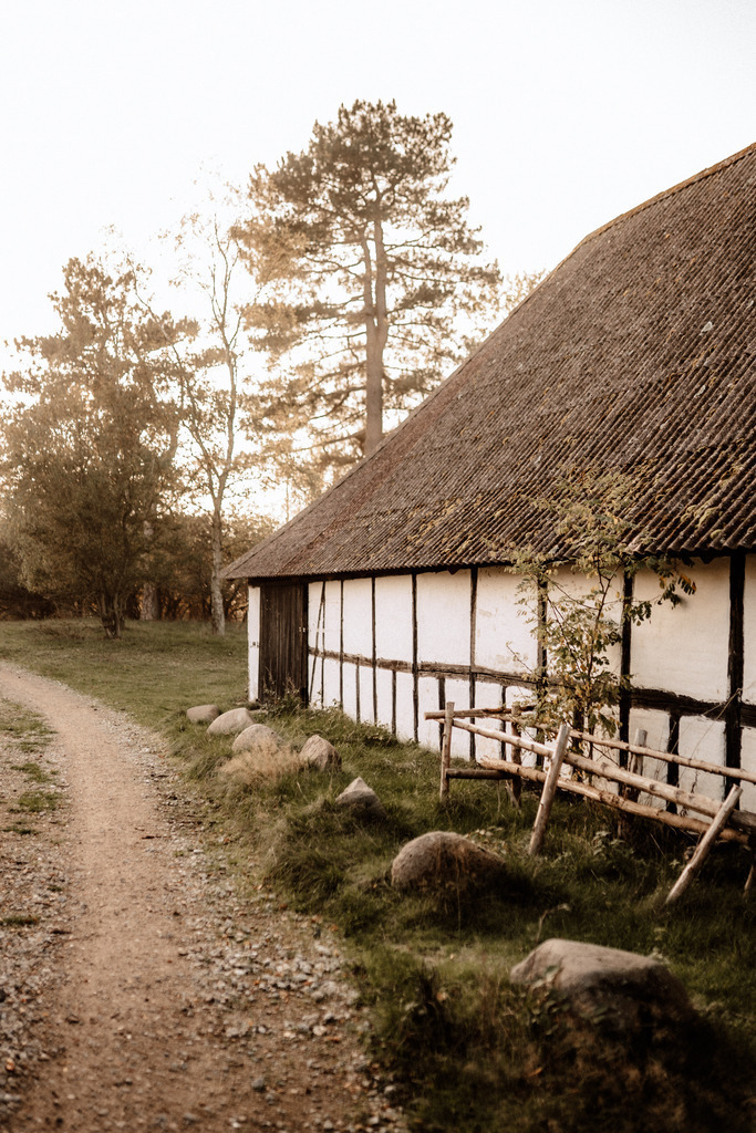 Dänemark im Herbst | Print Shop 
Fotografie
Posterdruck
Landschaftsfotografie
Reisefotografie
Naturfotografie
Anja Brandes Poster 
Anja Brandes Photography 
Prints for Walls 
Printable 
Posterdrucke
Poster aesthetic 
Poster Wall 
Poster Prints 
Poster schwarz weiß - Realisiert mit Pictrs.com