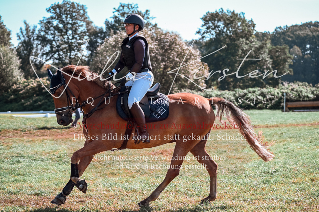 DSC_0785 | Pferde- und Turnierfotografie in Westsachsen. Pferdeportraits, Auftragszeichnungen und intuitive Kunst.