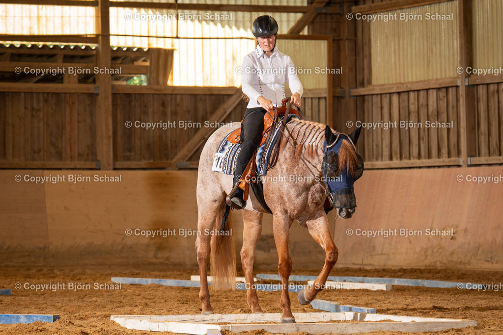 LOE03265 | BS-foto