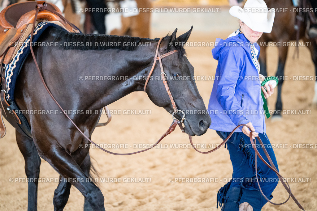 DSC02357 | Pferdegrafie