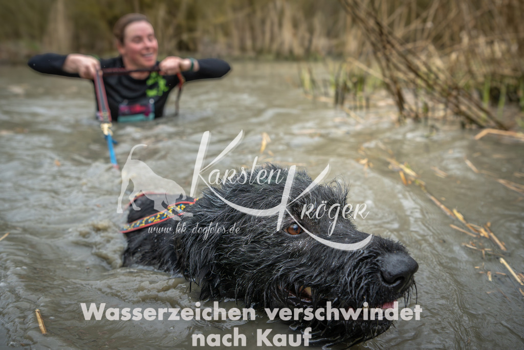 1354_ZZ94328 | kk-dogfotos