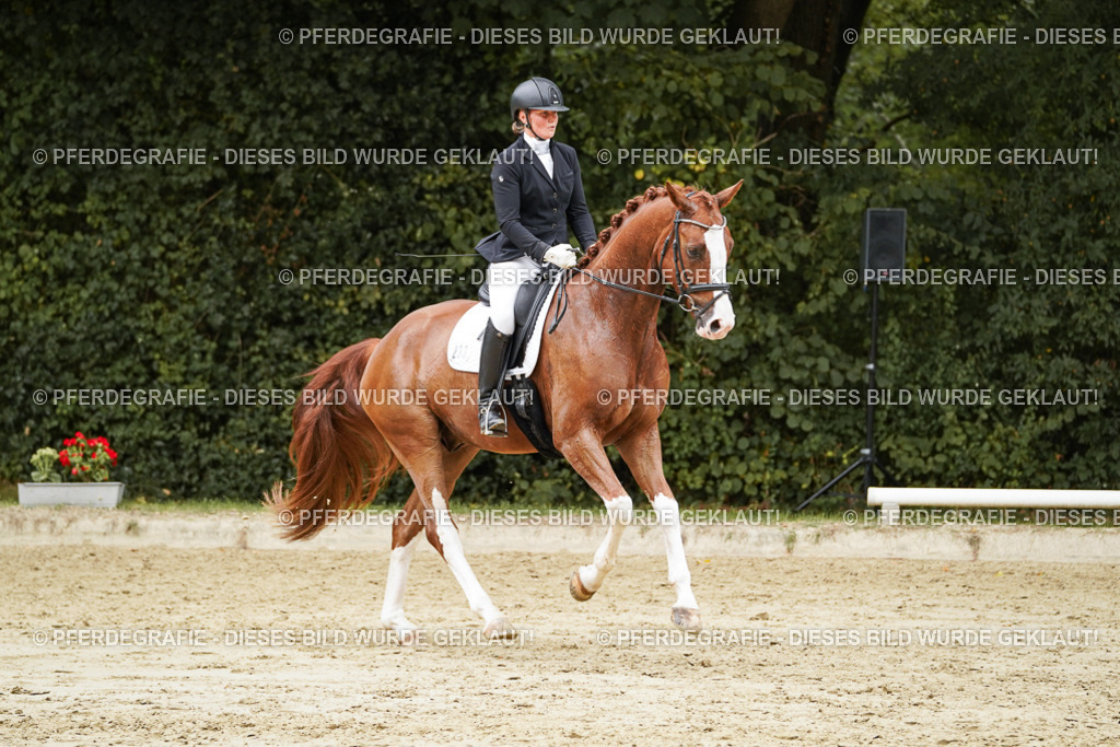 DSC00391 | Pferdegrafie