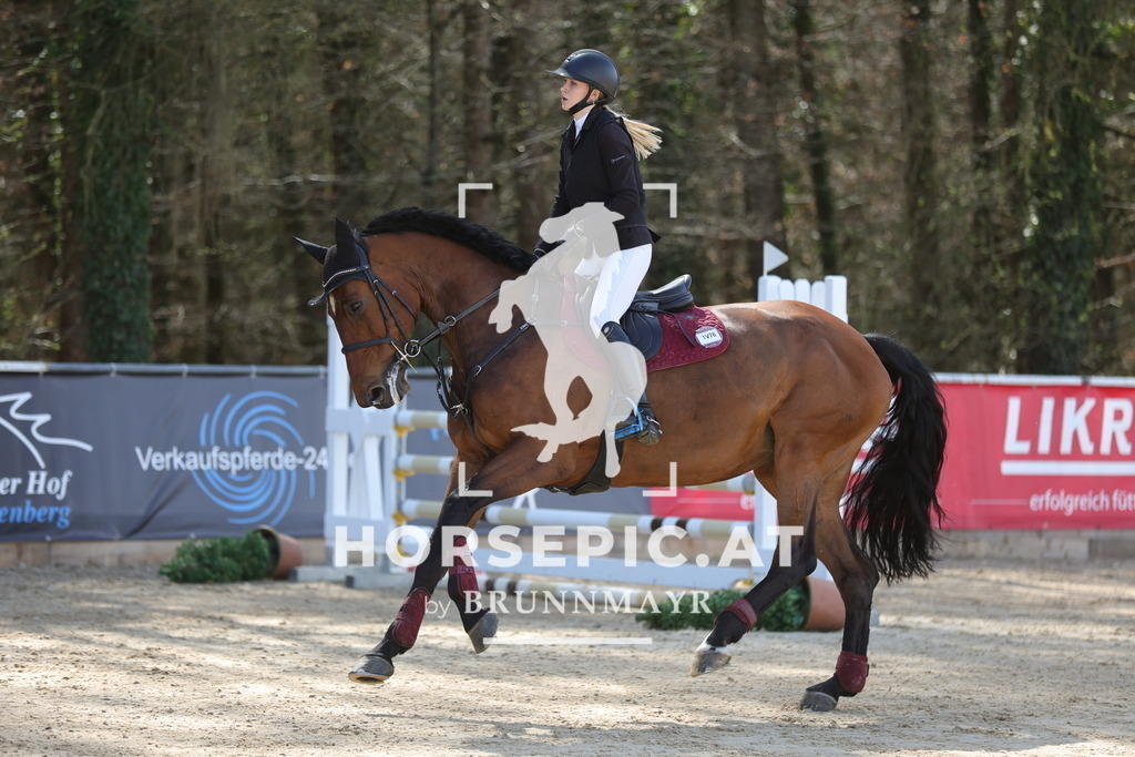 0P6A8957 | Willkommen bei Brunnmayr - Design & Fotografie – Ihrem Spezialisten für Reitturniere und Pferdeveranstaltungen in Oberösterreich, Salzburg und Bayern! Seit über 17 Jahren sind wir leidenschaftlich dabei.
