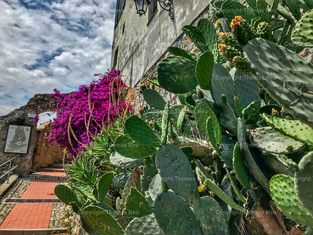 97DFFD8B-7780-40CF-A13E-FBC38D355D00 | ,, Bild: Thomas Neu