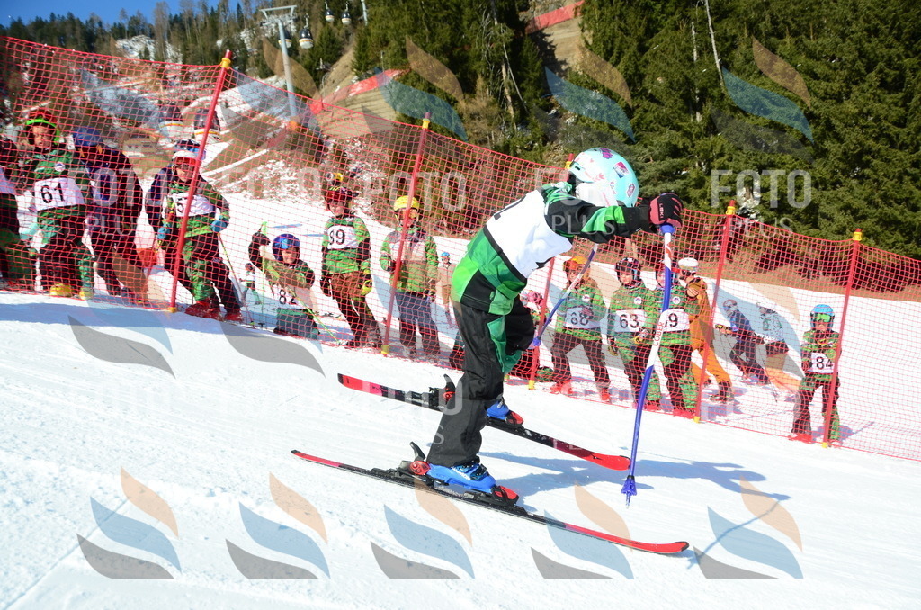 C5072 | holidayphoto